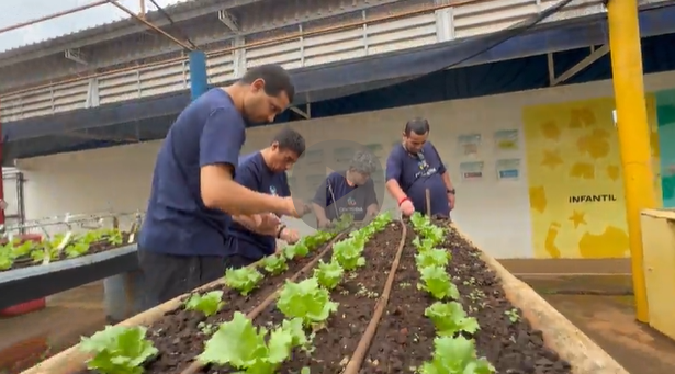 Equipe preparando o plantio de mudas na horta